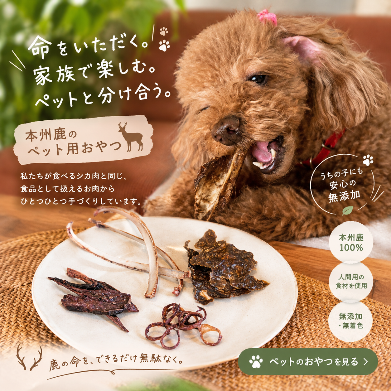 本州鹿のペット用おやつ