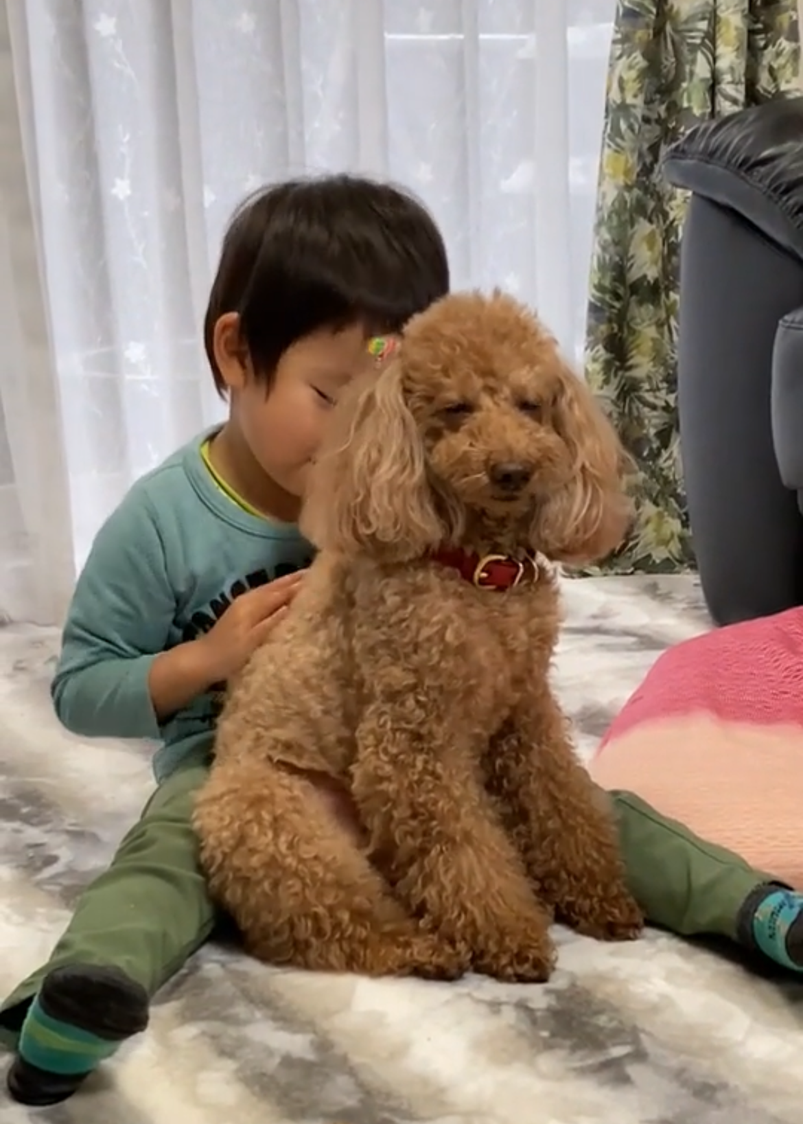 子どもとわんこ